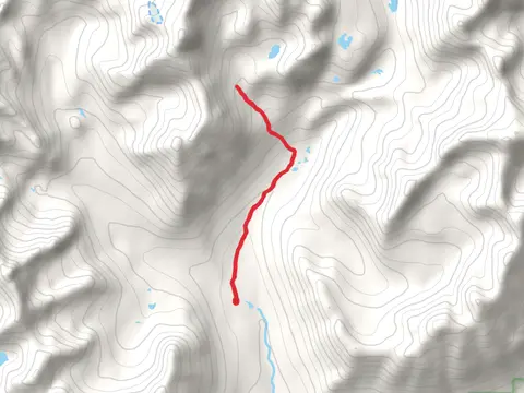 Reed and Glacier Creek - Snowbird Trail