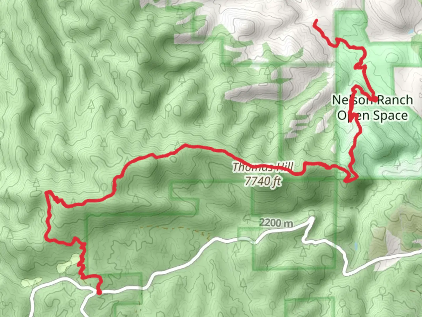 Ringtail Trail - Nelson Ranch Open Space | Douglas County | Colorado