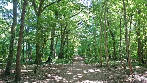Maidenhead and Cookham Commons Loop