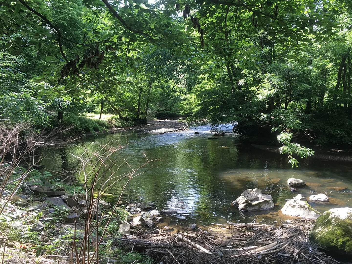 An image depicting the trail Pennypack Creek Loop and its surrounding area.