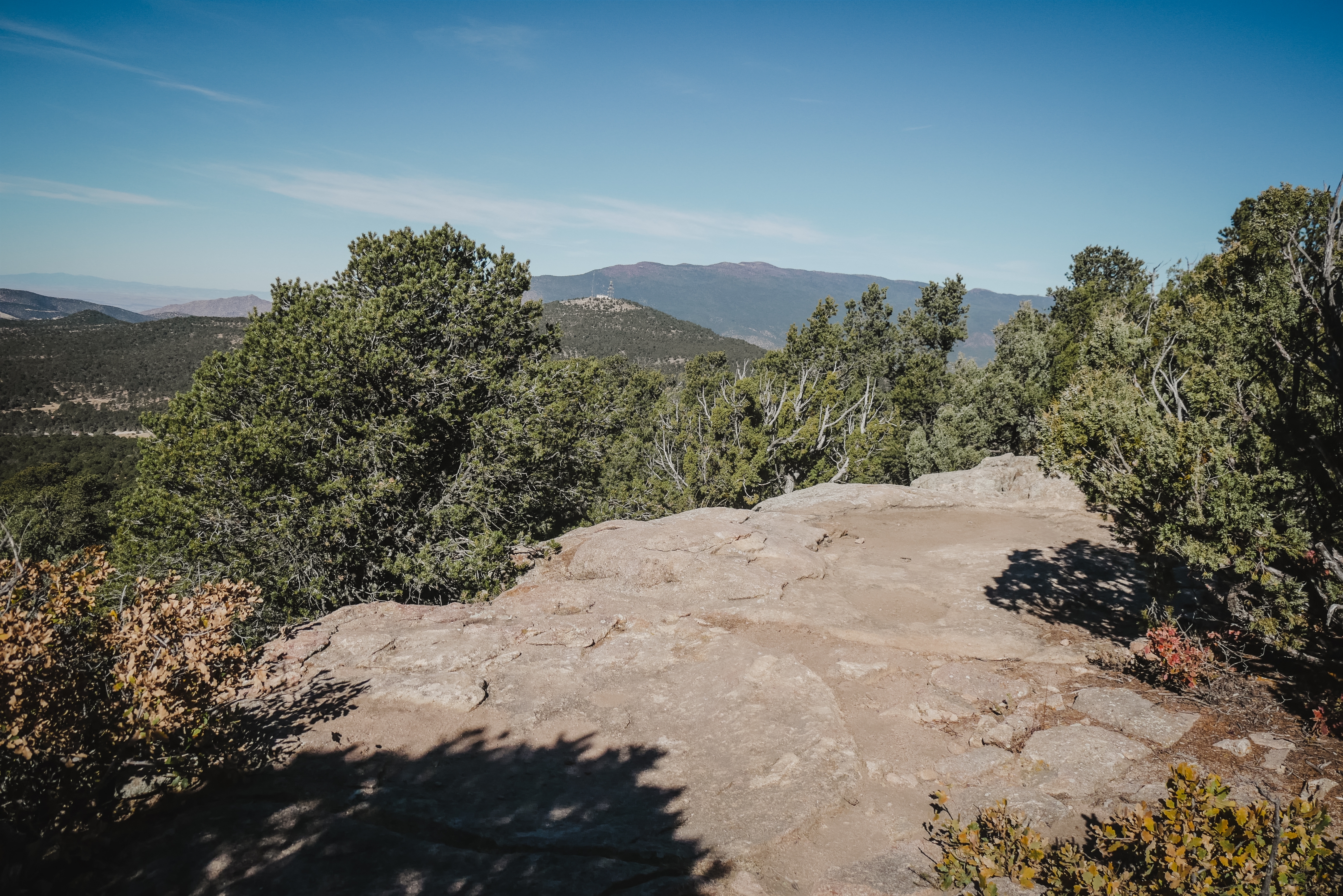 An image depicting the trail Cibola National Forest and its surrounding area.