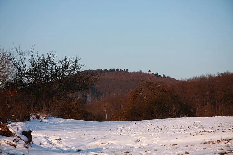 Waldsee, Rassel and Kellerskopf Loop via Loop via Theital Forelle