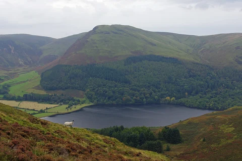 Loweswater Lake Walk