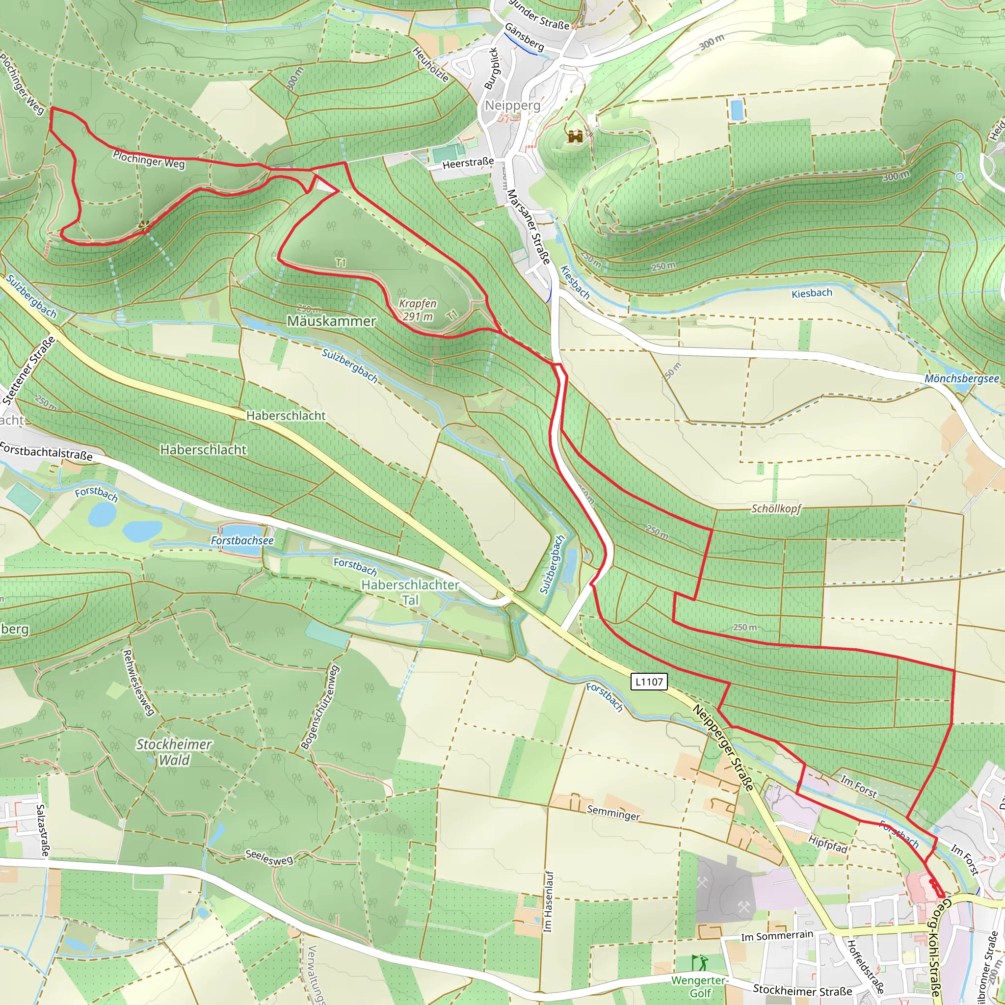 Lembergerweg and Plochinger Weg Loop | Heilbronn | Germany