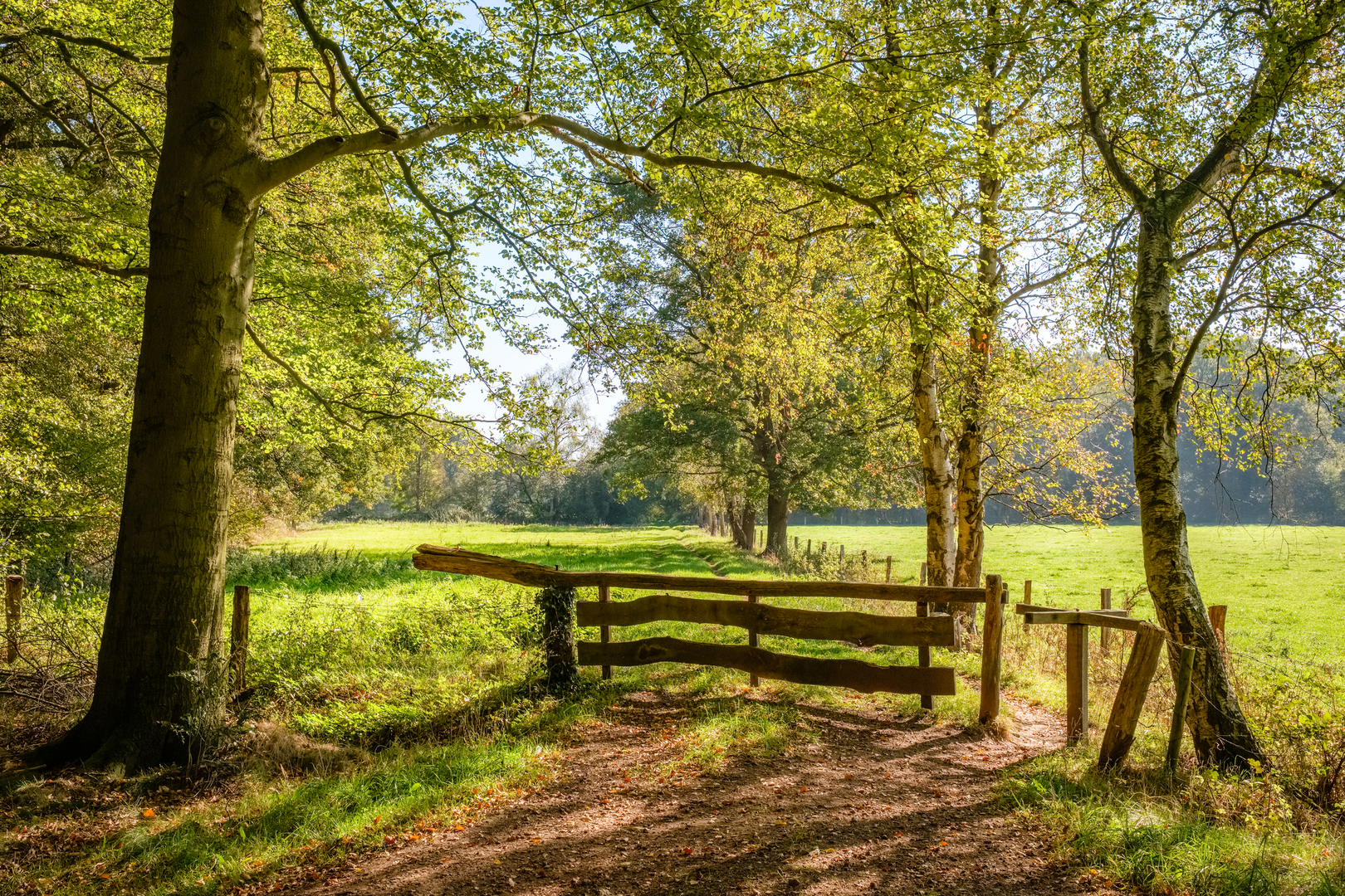 An image depicting the trail Tanken Weg and Paaschberg in Landgoederen Oldenzaal and its surrounding area.