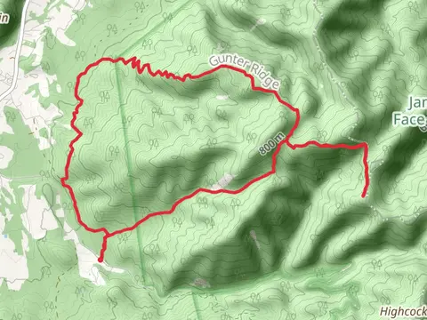 Belfast and Gunter Ridge Loop Trail