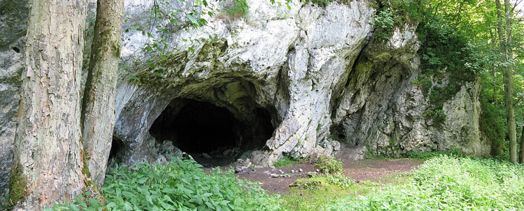 An image depicting the trail Hohlenstein and Hölzerbachtal Loop and its surrounding area.