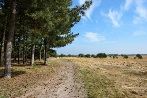 Eikenberg, Venakkerbosch, Bergeijkse Barriere and Enderheide Loop