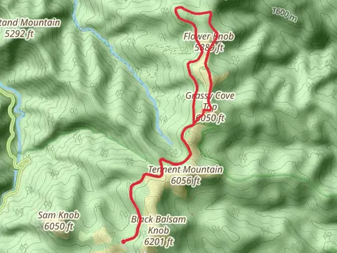 Greasy Cove Top and Flower Knob Loop via Ivestor Gap Trail