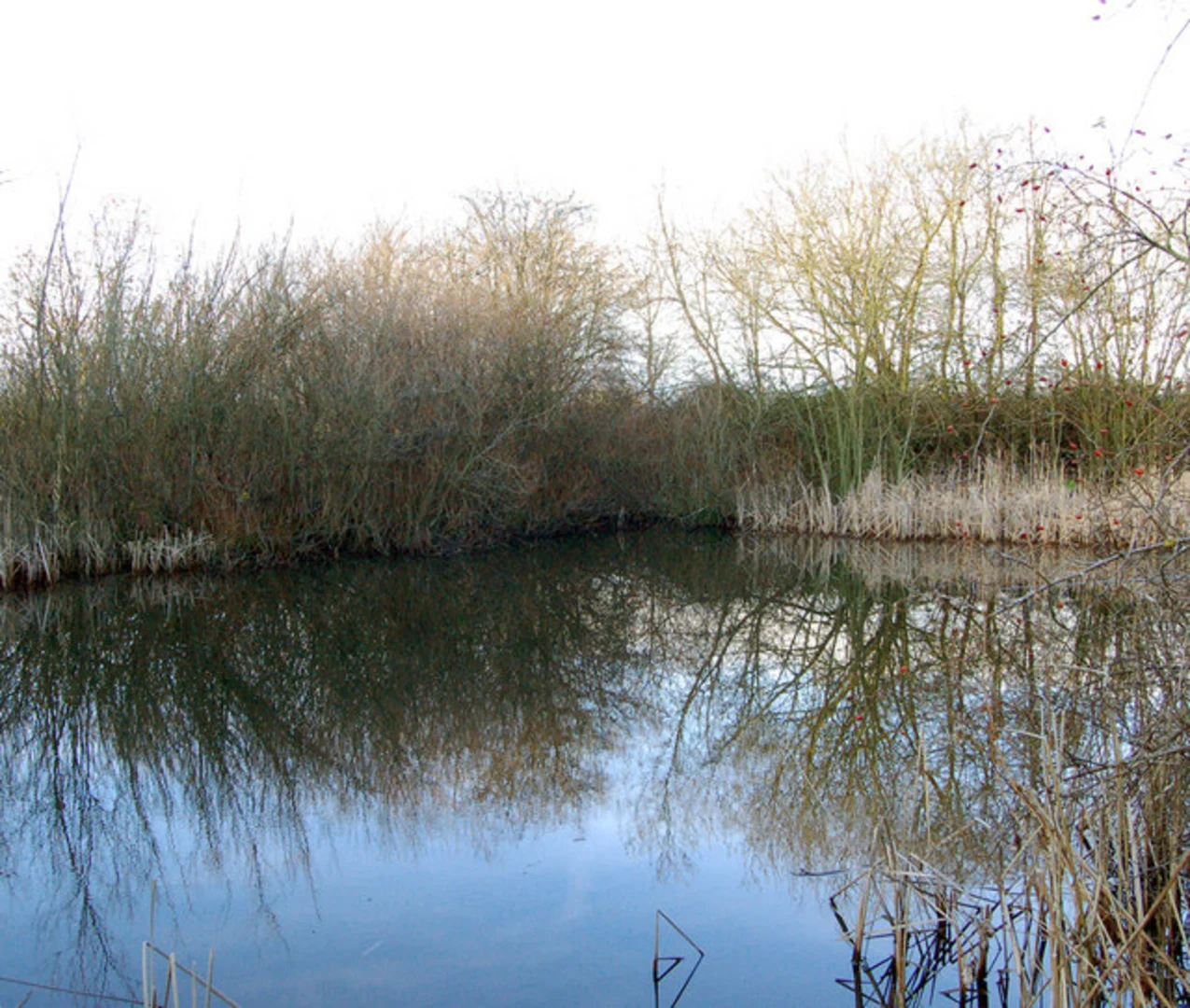 An image depicting the trail Napton on the Hill Loop via Grand Union Canal and its surrounding area.