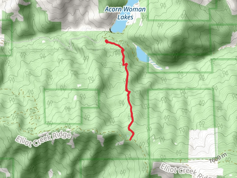 Summit Lake Trail