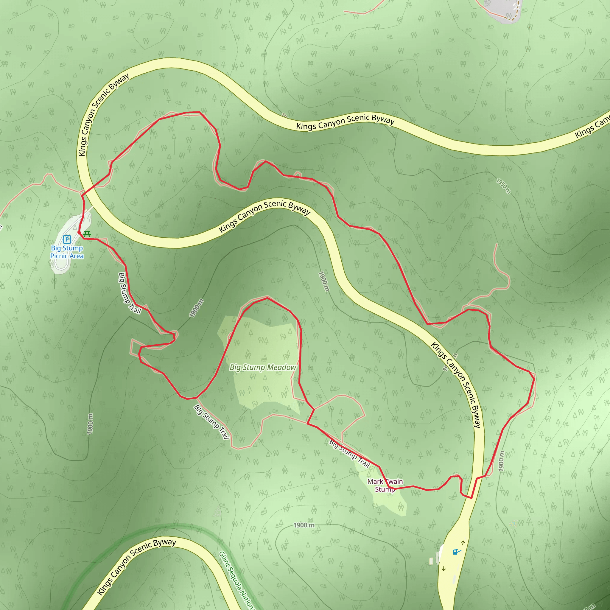 Big Stump Grove Loop Trail mobile static map
