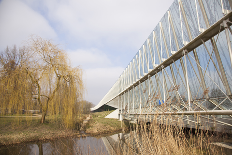 Reggepad and Overijssels Havezatenpad Loop