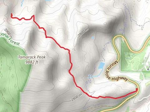 Tahoe Rim Trail - RelayPeak from Mount Rose Summit