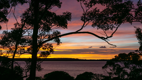 Inlet Drive Path Walk
