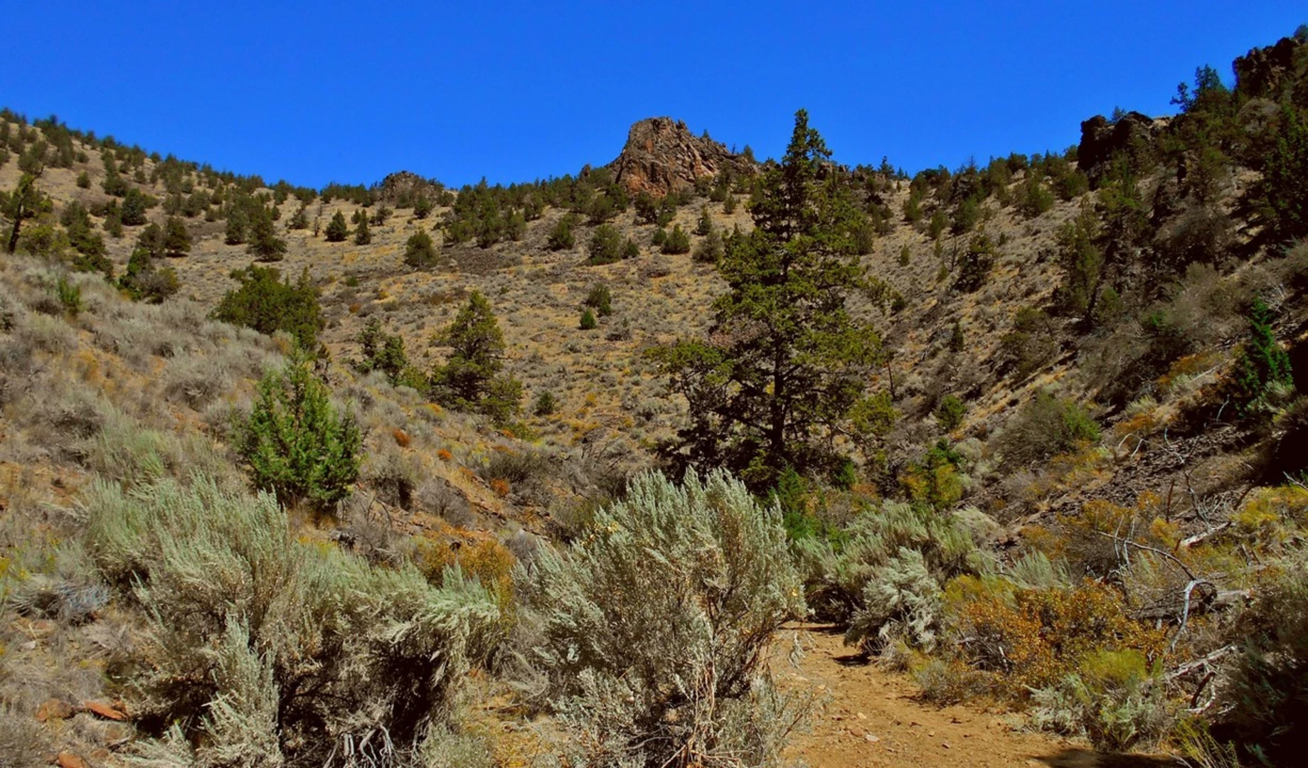 An image depicting the trail Ridge Rider - Warner Loop Trail and its surrounding area.