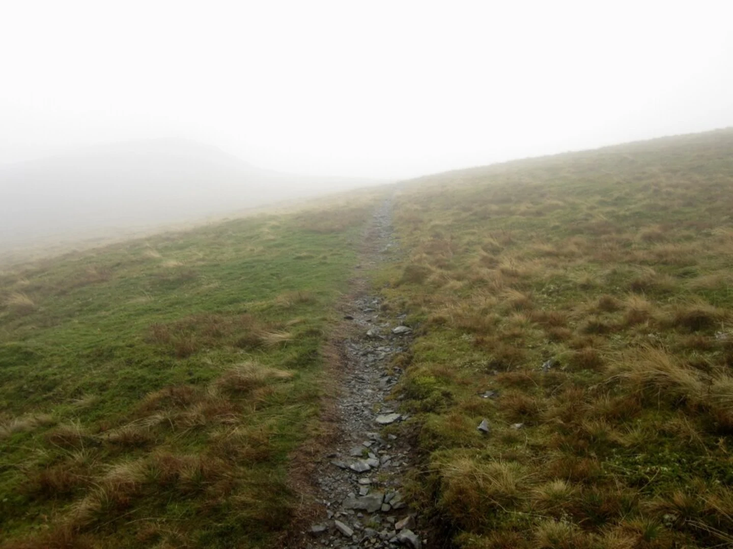 An image depicting the trail White Pike, Calfhow Pike, Watson's Dodd and Hart Side Loop and its surrounding area.