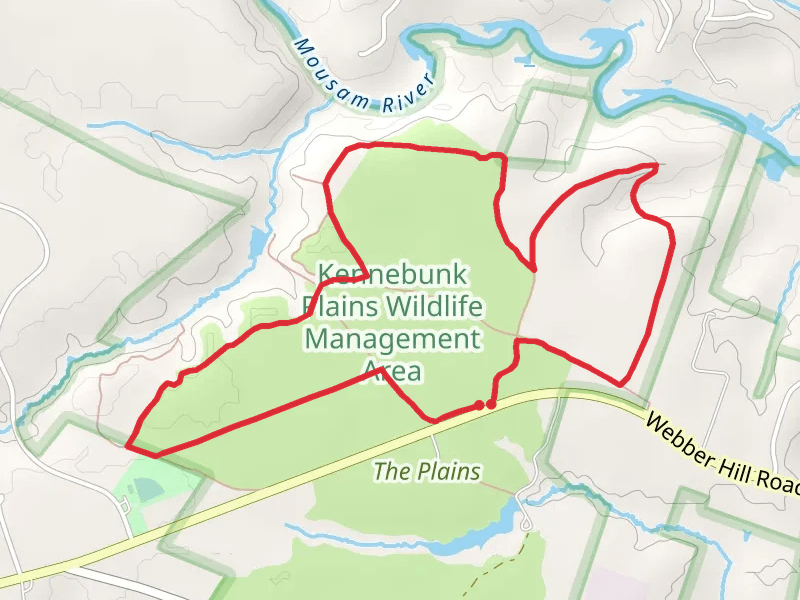 Kennebunk Plains Wildlife Management Area Loop
