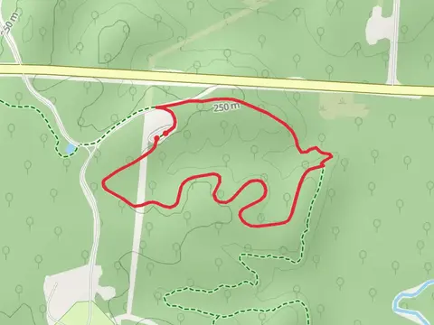 McAdoo Trail - Yellow and White Connector 1 Loop