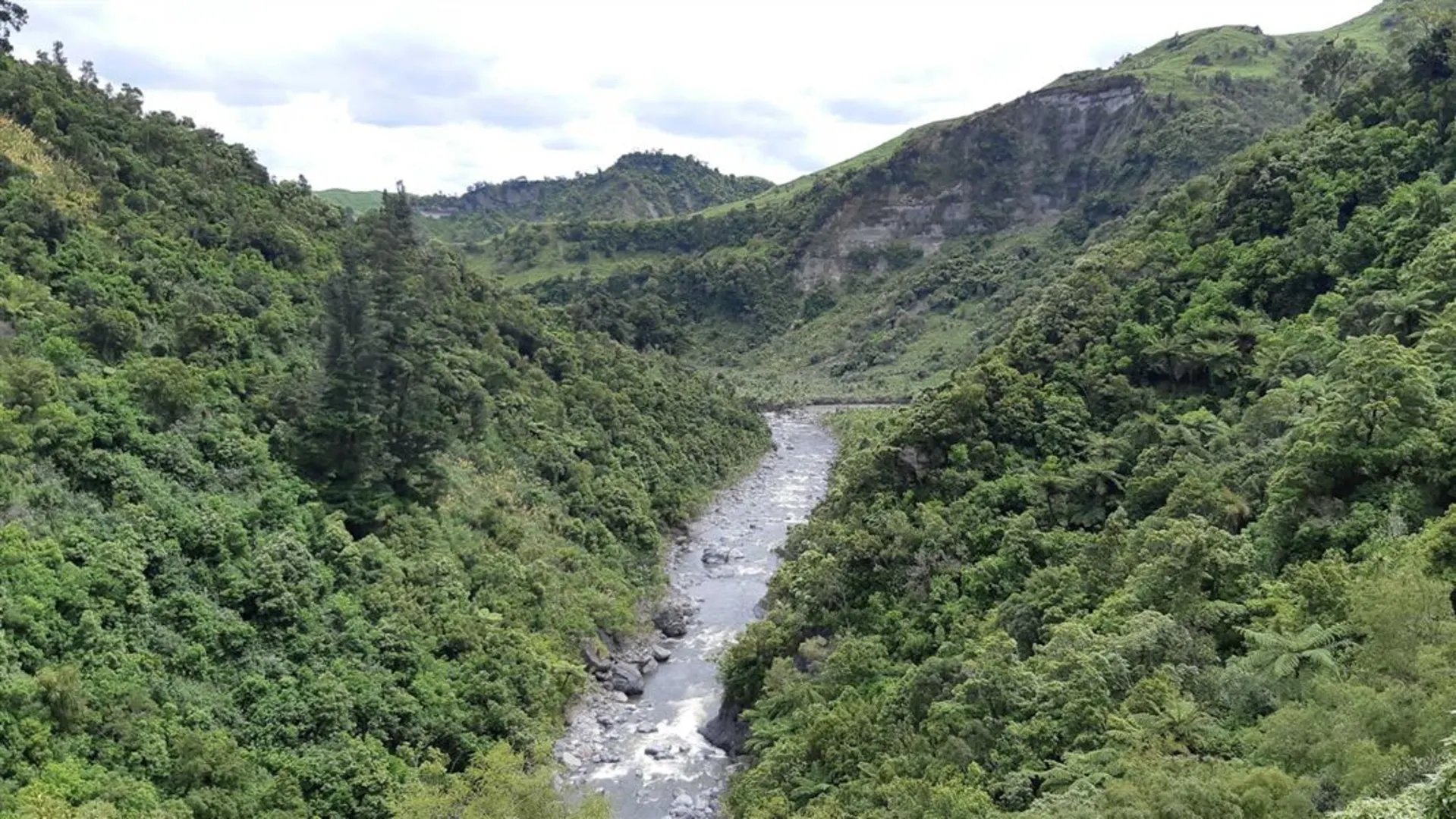 An image depicting the trail Mid Pohangina Hut Track and its surrounding area.