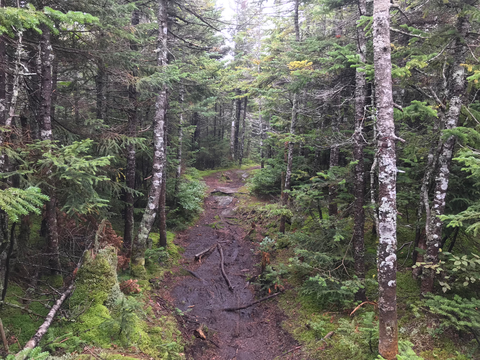 Vermont Long Trail