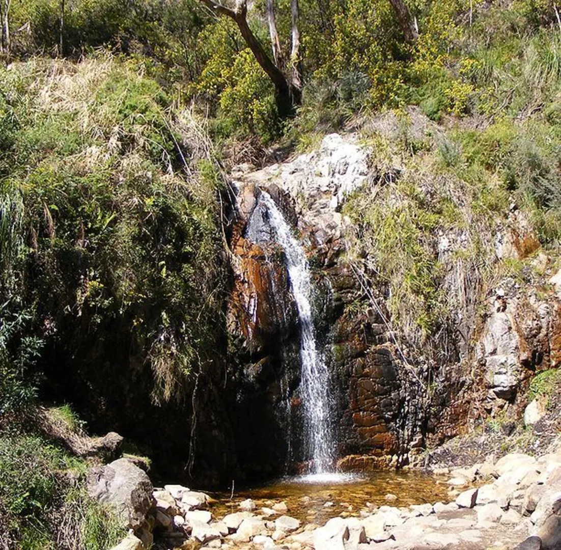 An image depicting the trail Waterfall Gully Historic Walk and its surrounding area.