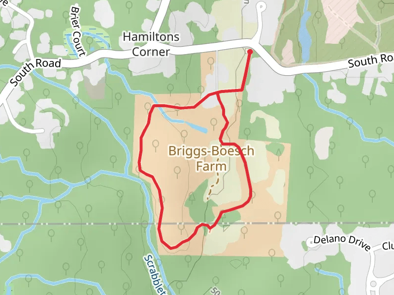 Scrabbletown Brook Loop - South Road