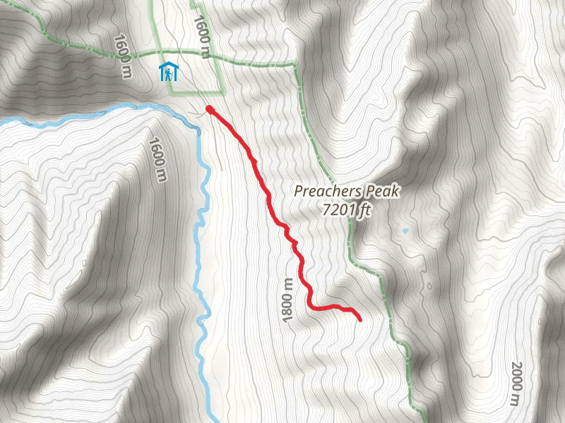 Yellow Rose Mine Trail