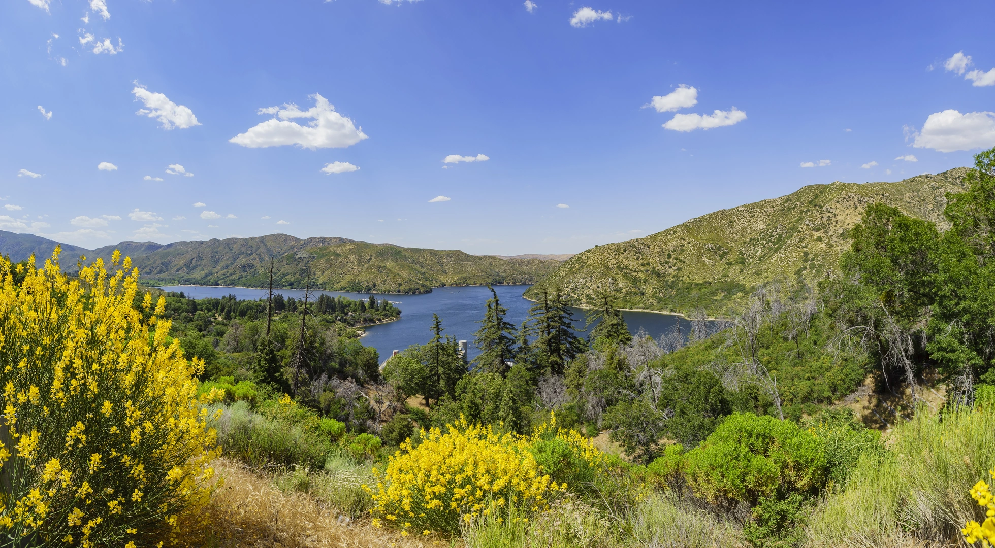 An image depicting the trail West Fork Mojave River Walk and its surrounding area.