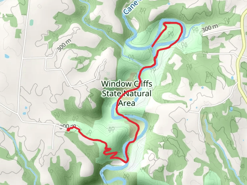 Window Cliffs Trail