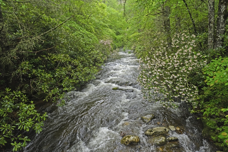 Noland Creek Trail - North