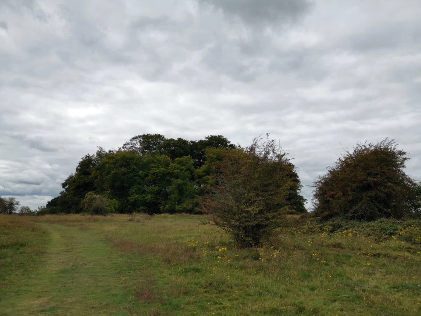 An image depicting the trail St Catherine’s Hill via Clarendon Way and its surrounding area.