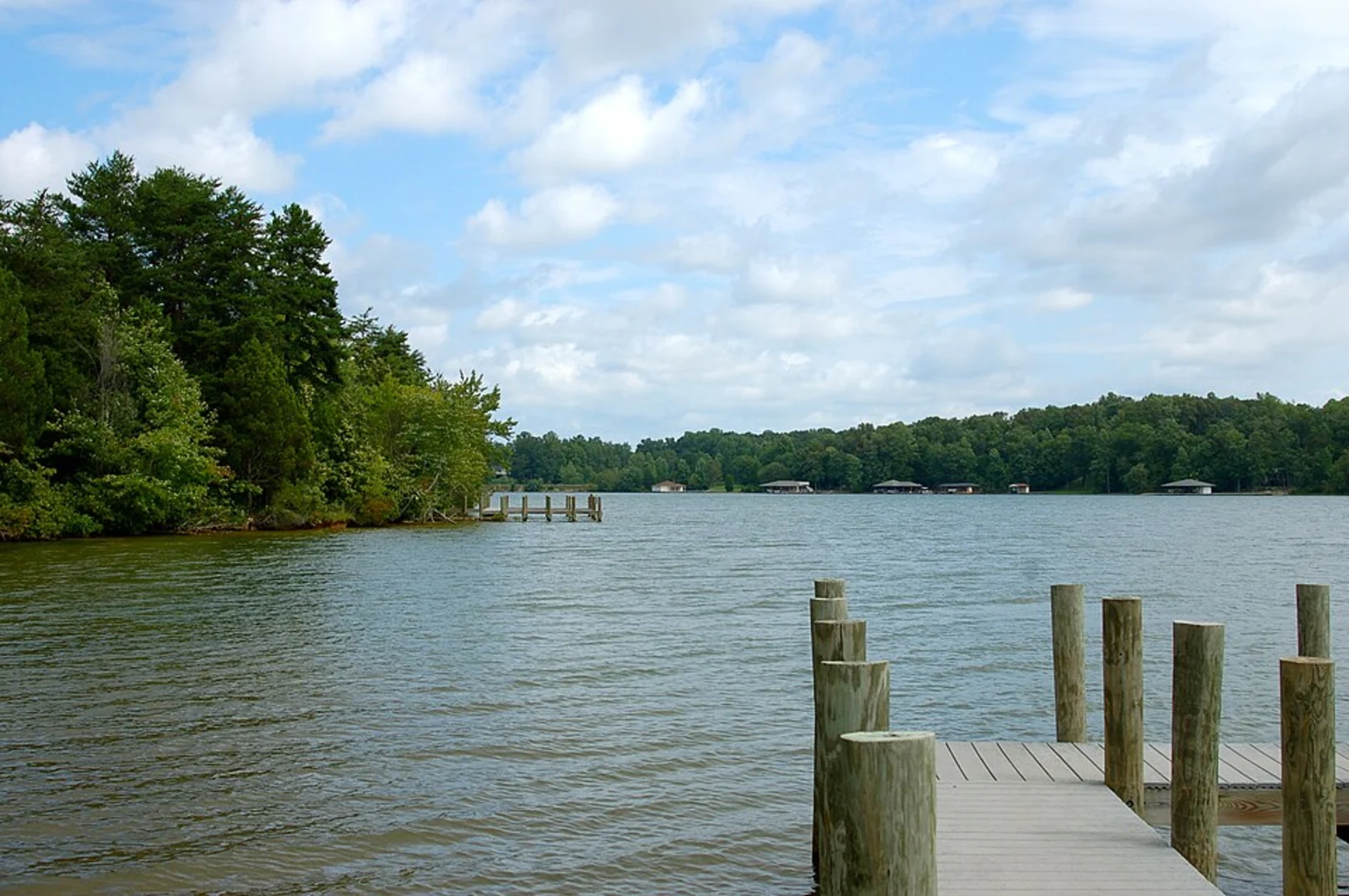 An image depicting the trail Glenora Trail, Big Woods Trail and Turkey Run Trail and its surrounding area.