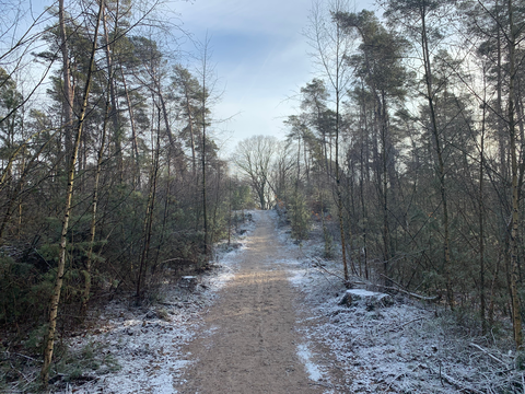 Braamberg, Ugchelsche Bosch and Spelderholt Loop