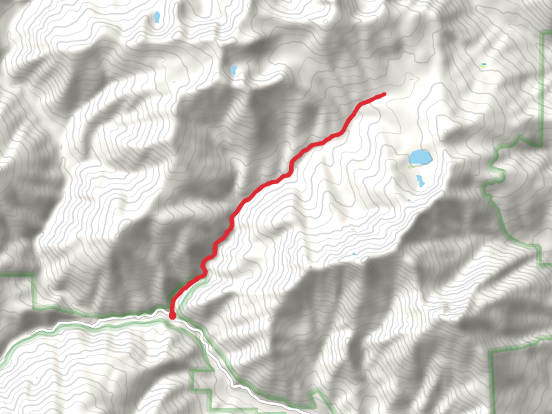East Fork Coffee Creek Trail