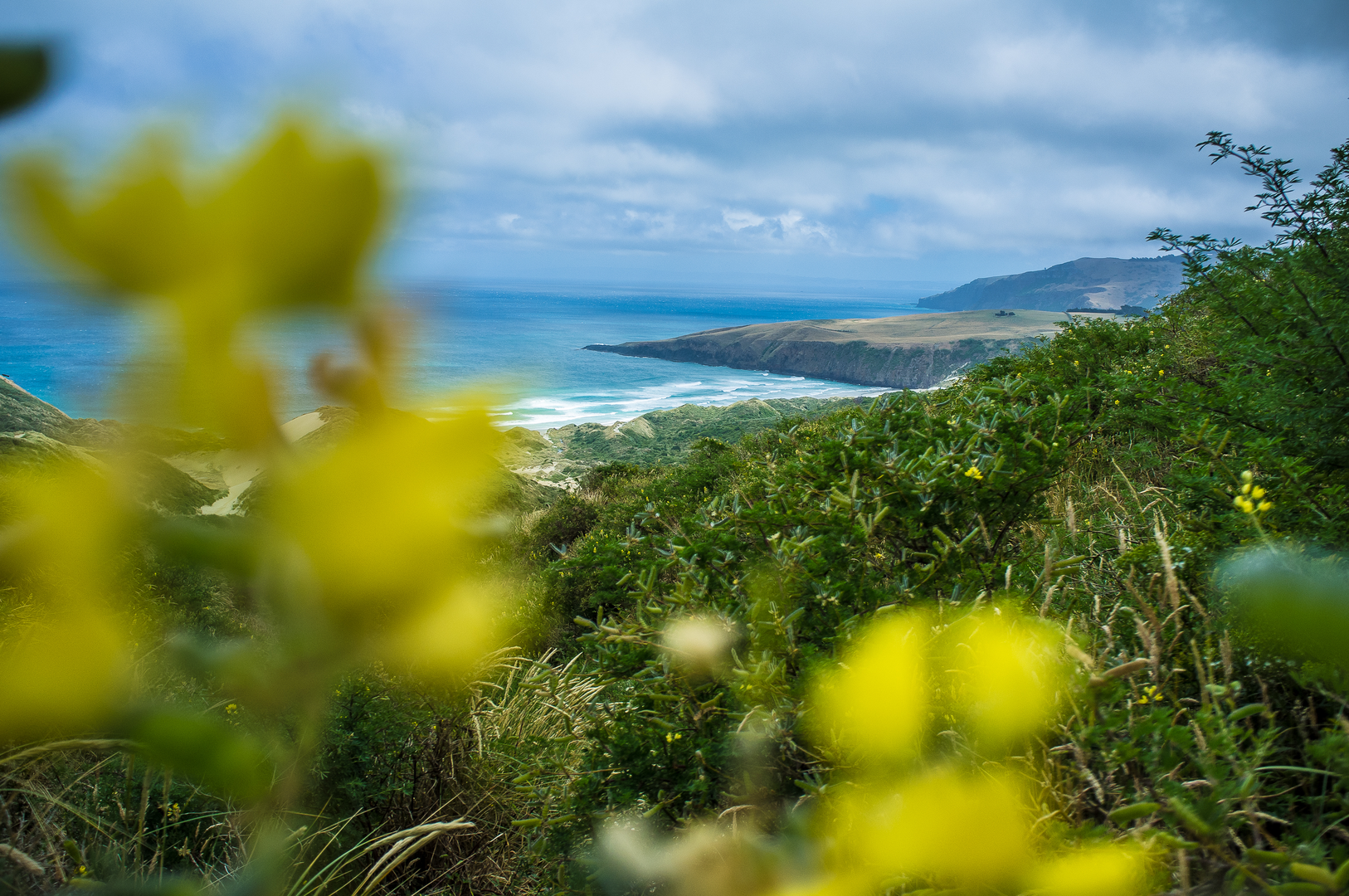 An image depicting the trail Sandymount to Sandfly Bay and its surrounding area.