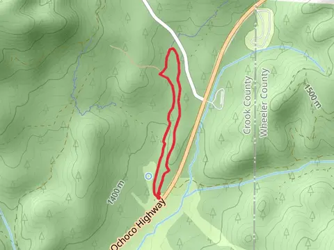 Ponderosa Loop Trail