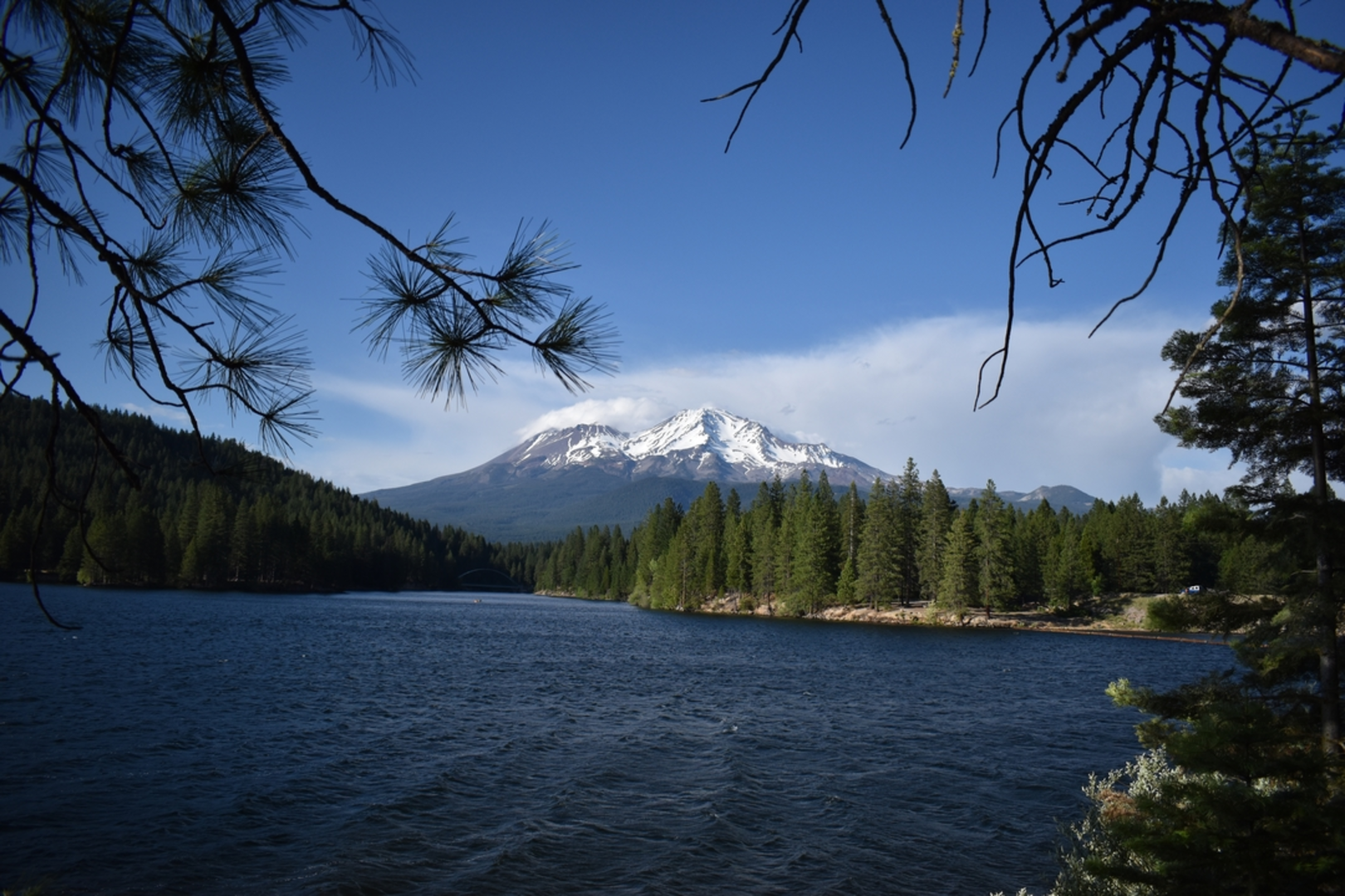 An image depicting the trail Sisson - Callahan via Fen Nature Trail and its surrounding area.