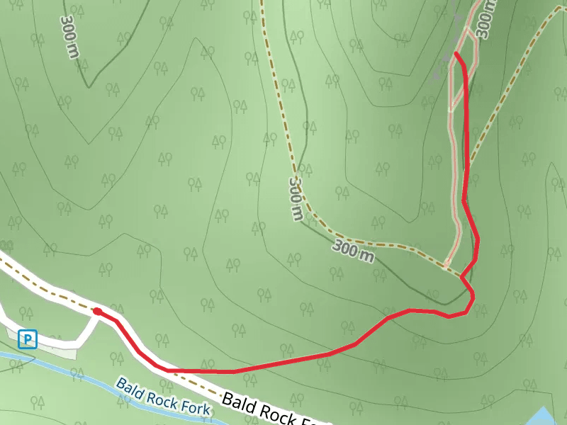 Bald Rock Fork
