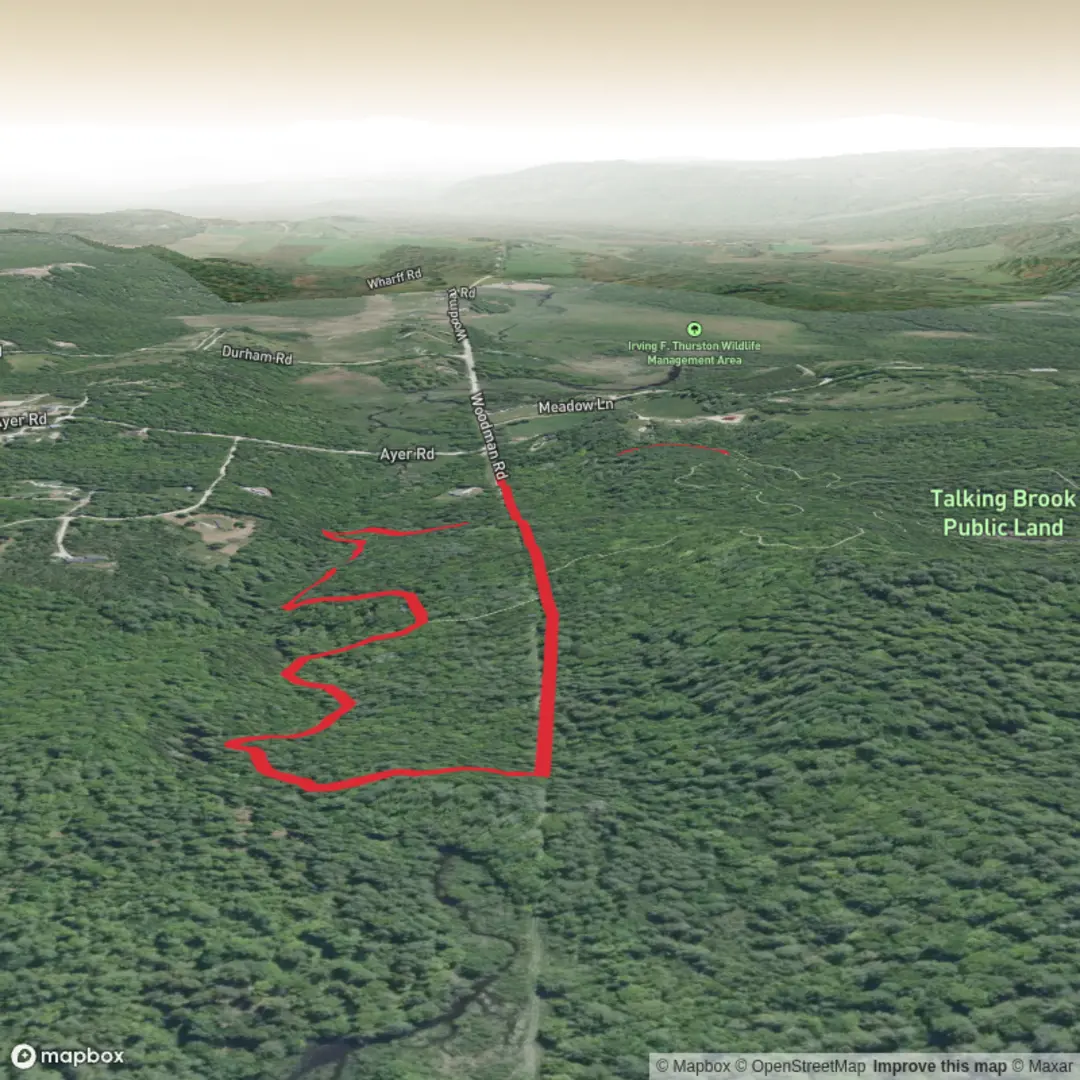 An image depicting the trail Big Falls Loop Trail and its surrounding area.