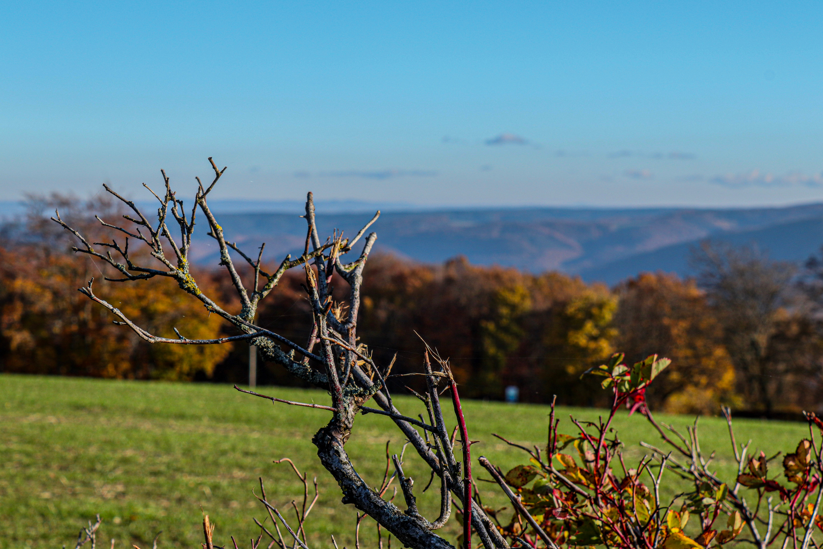 An image depicting the trail Wildnis-Trail and its surrounding area.