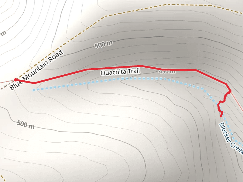 Ouachita Trail from Blue Mountain Road