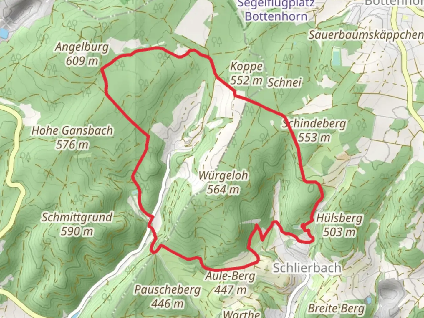 An image depicting the trail Wallenfels Loop via Dachsberg Schanze and its surrounding area.