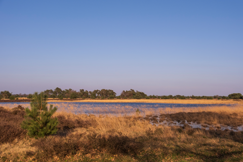 Beuven and Strabrechtsche Heide via Bosrandweg, Kluizerweg and De Oude Baan
