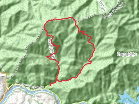 Parson Bald, Gregory Bald and Rye Patch Loop