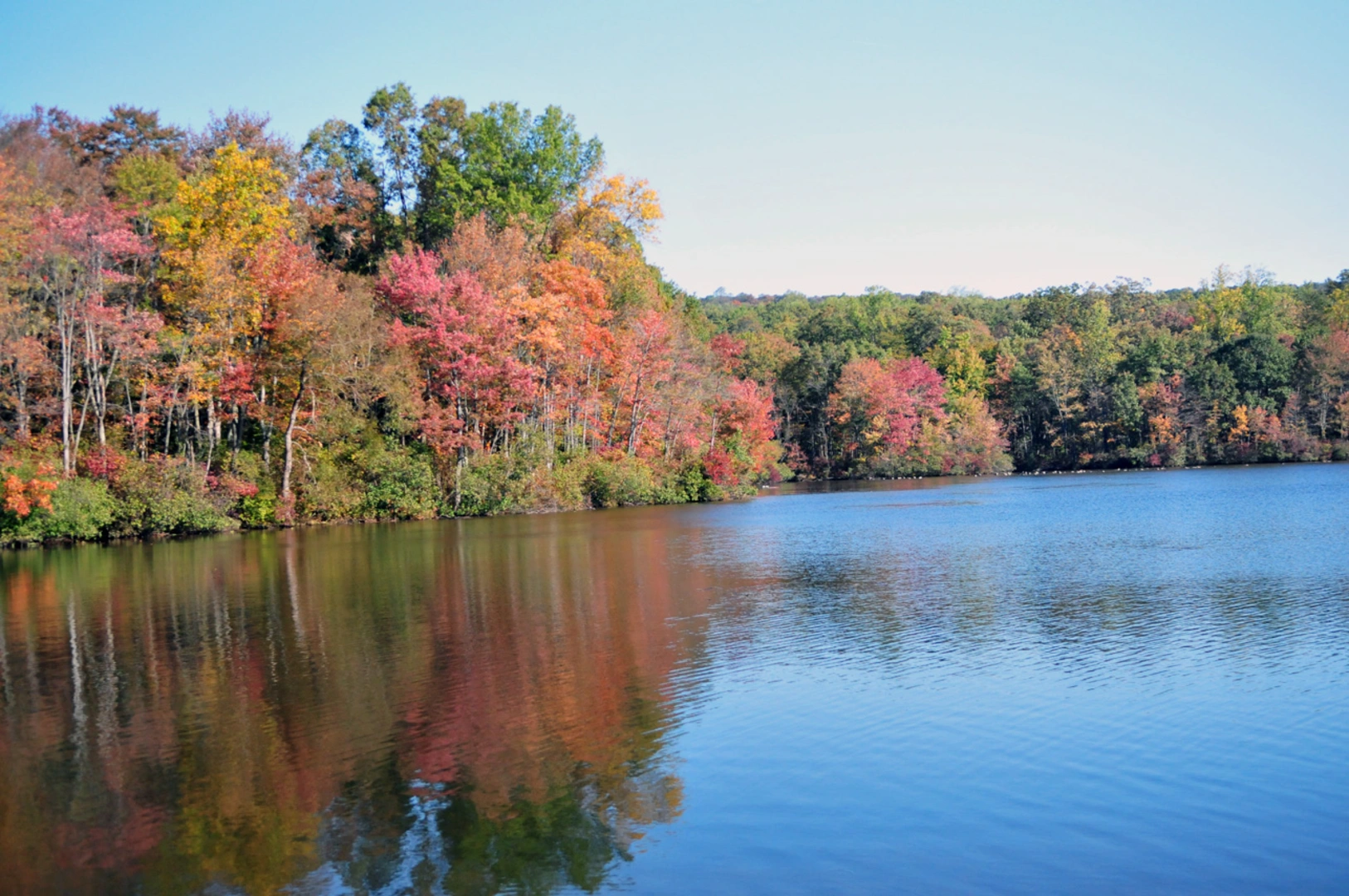 An image depicting the trail Lenape and Turtle Loop Trail and its surrounding area.