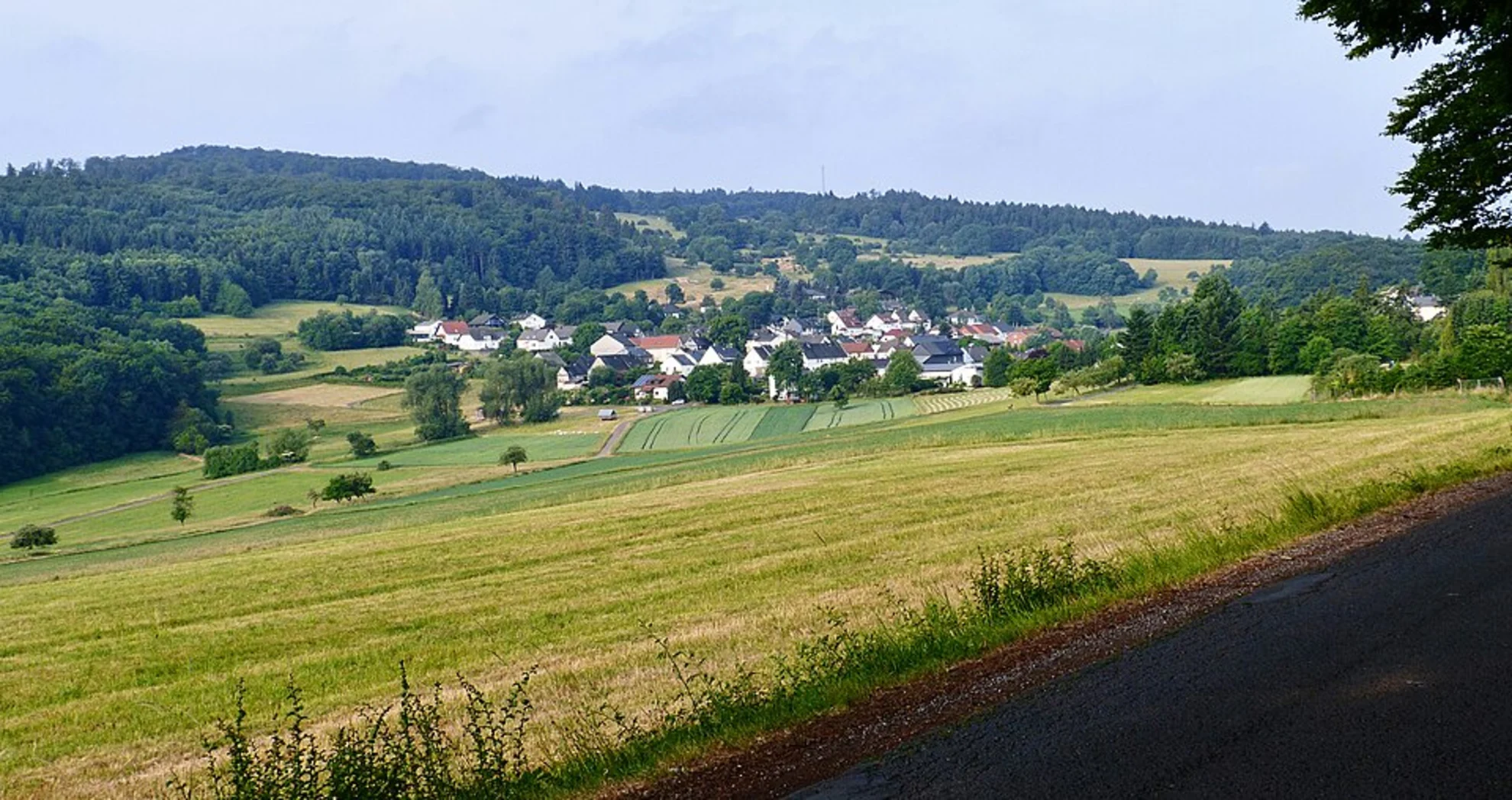 An image depicting the trail Schloß Drachenburg, Drachenfels and Hirschburg Loop and its surrounding area.