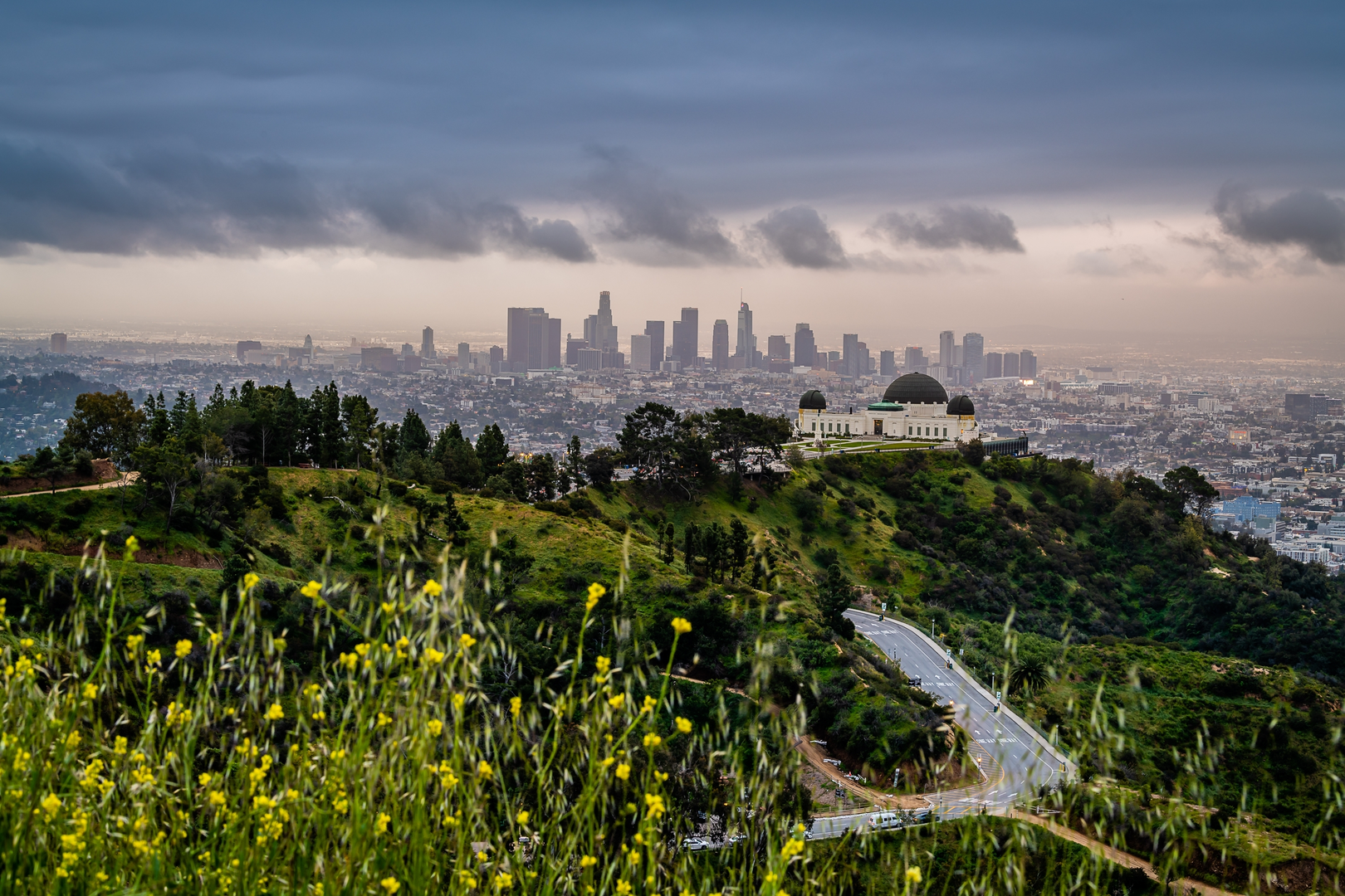 An image depicting the trail Mount Hollywood, Mount Baby Bell and Burbank Peak Loop and its surrounding area.