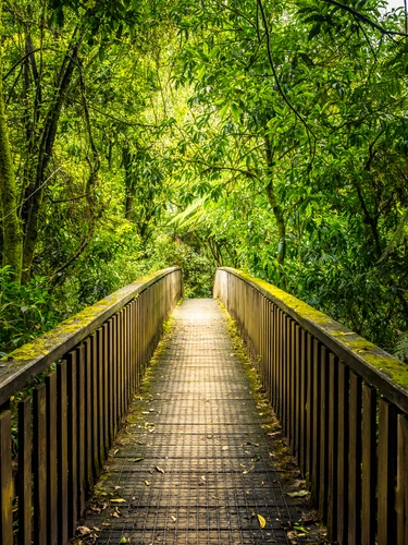 Waitomo Walkway
