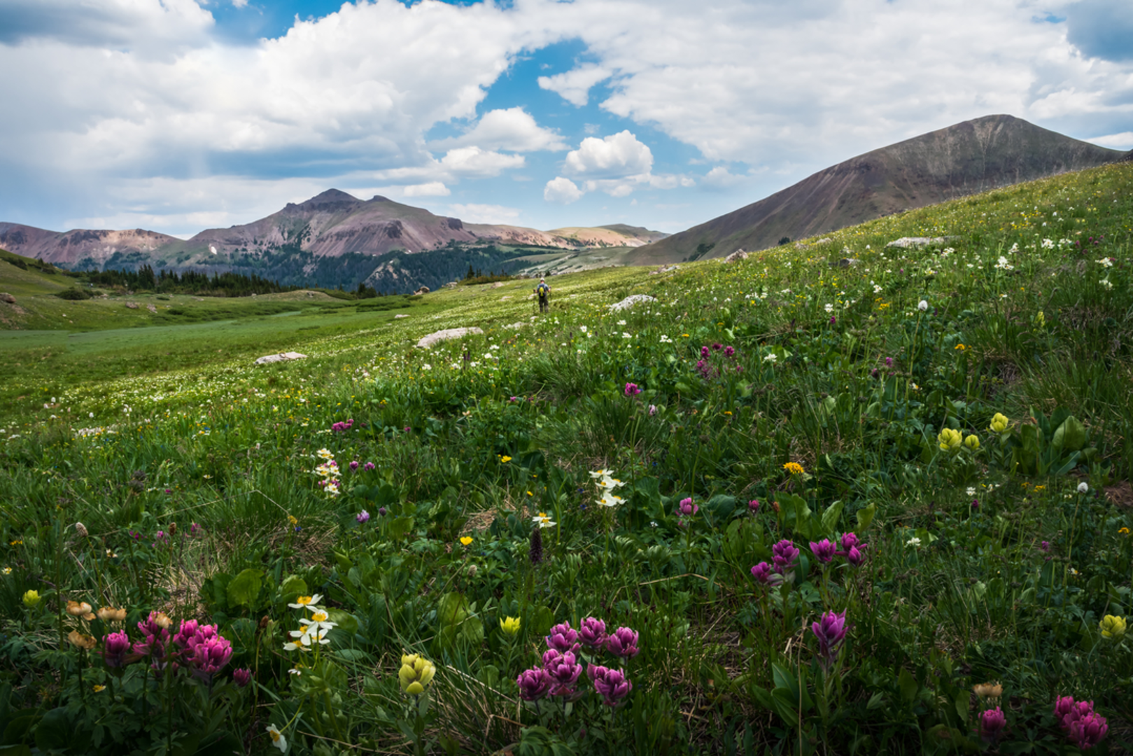 An image depicting the trail American Lake Trail and its surrounding area.